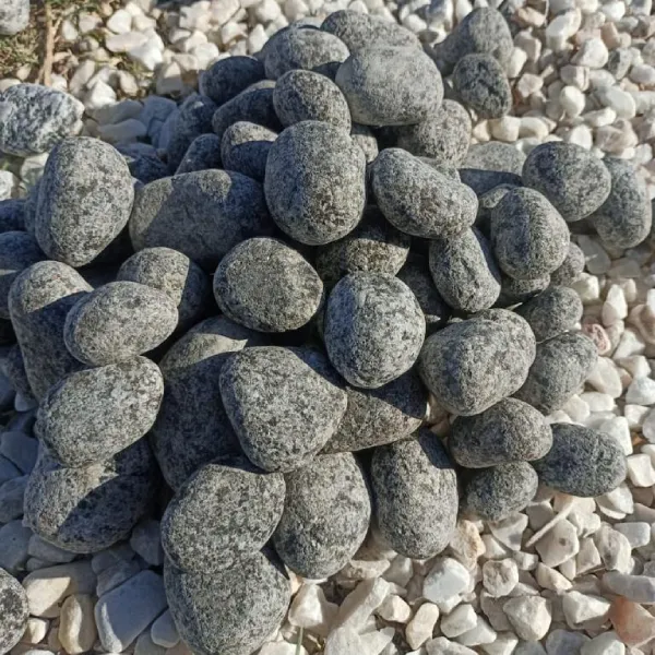 Natural Black Granite (Dotted Black) Unpolished Pebbles