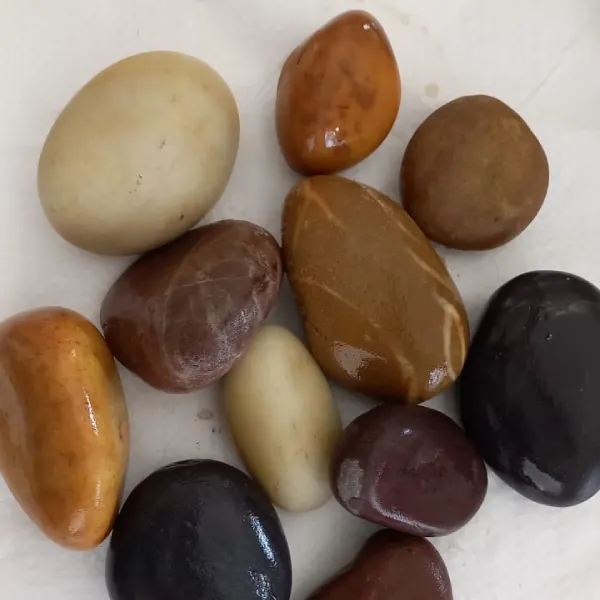 Natural River Mix Unpolished Pebbles