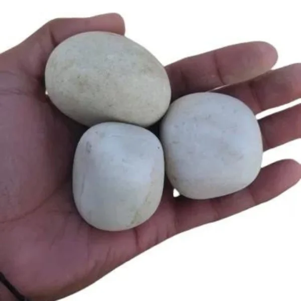 Natural River White (Off-White) Unpolished Pebbles