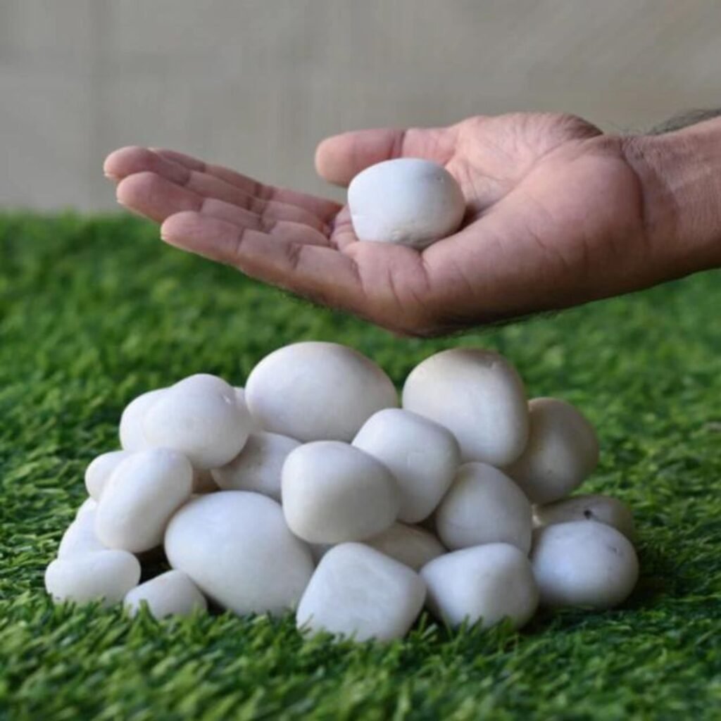 Buy Pebbles at lowest price